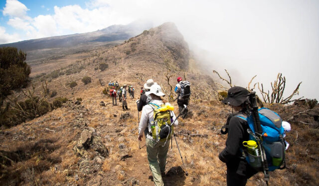 Kilimanjaro Trek