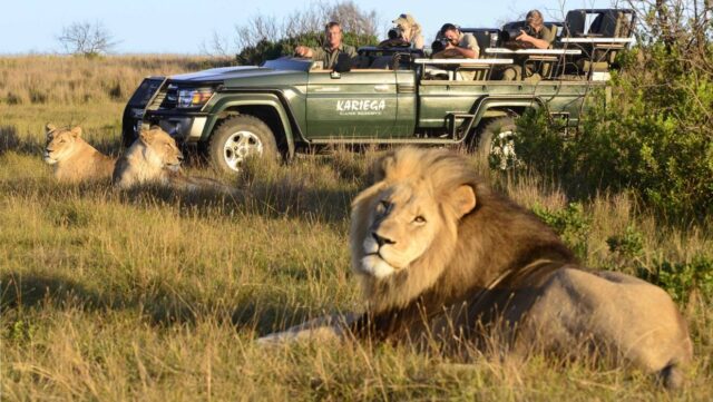 Game Viewing Safari in South Africa