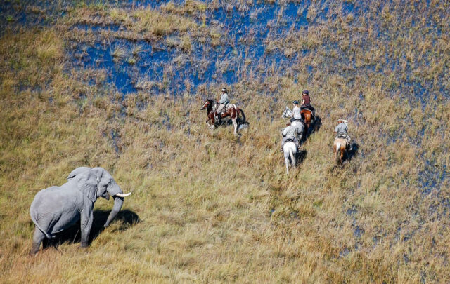 Horse Riding in Botswana